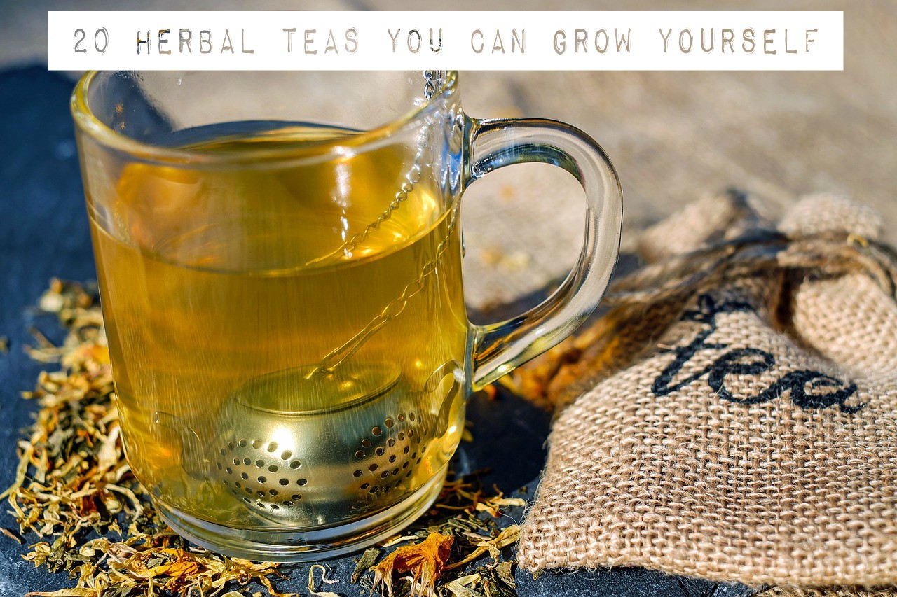 Herbal tea, herb teas, growing your own herbs, growing your own herbs for tea